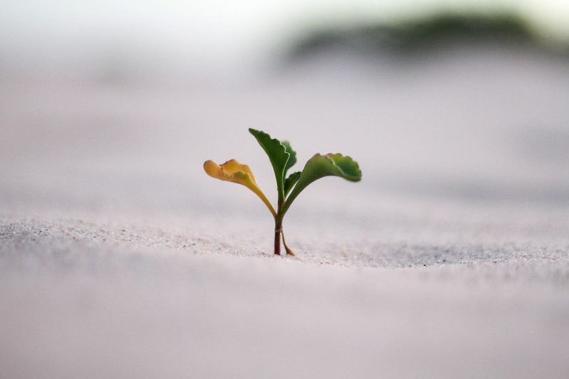 4 Product-Led Growth Tools and Software to Use in 2023