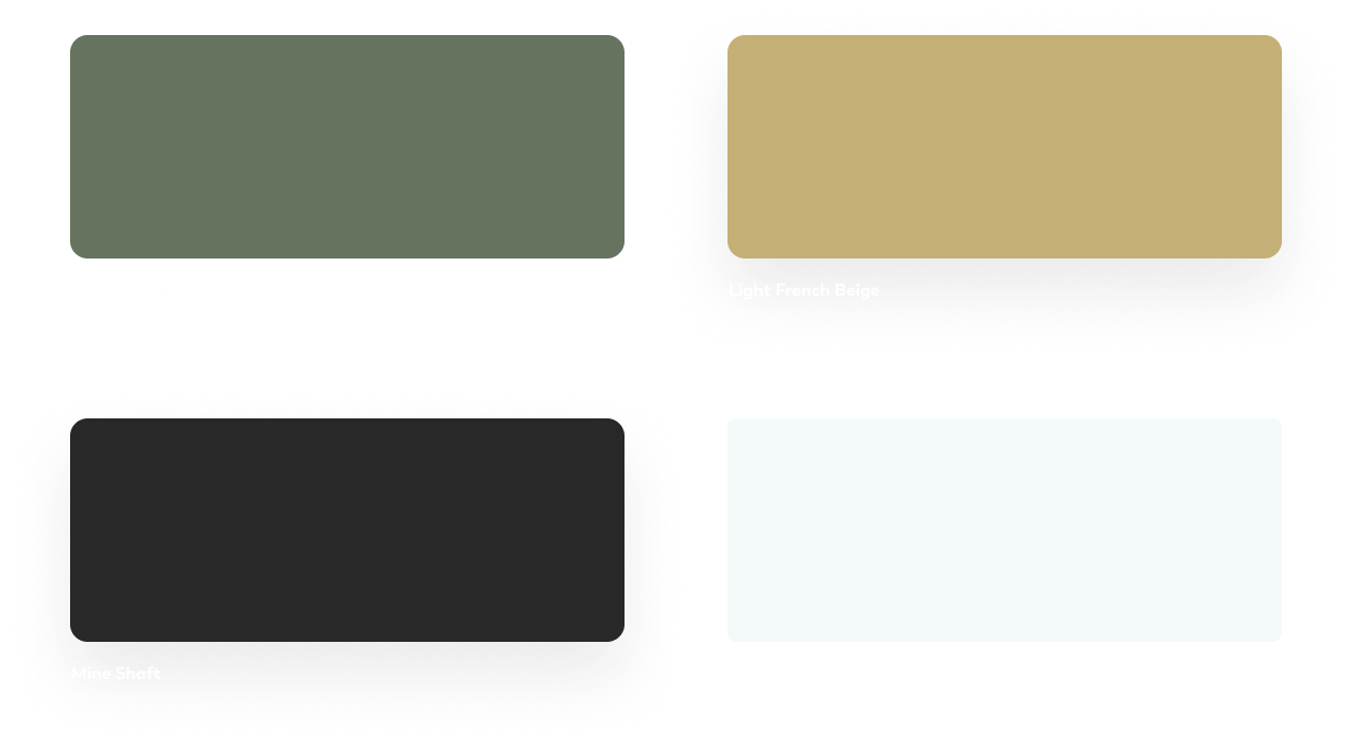 Color Palette