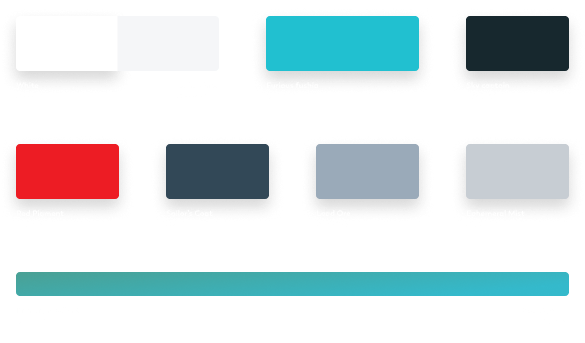 Color Palette