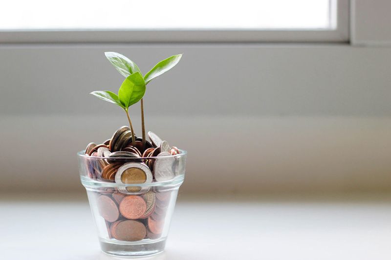 6 Product-Led Growth Examples for Inspiration