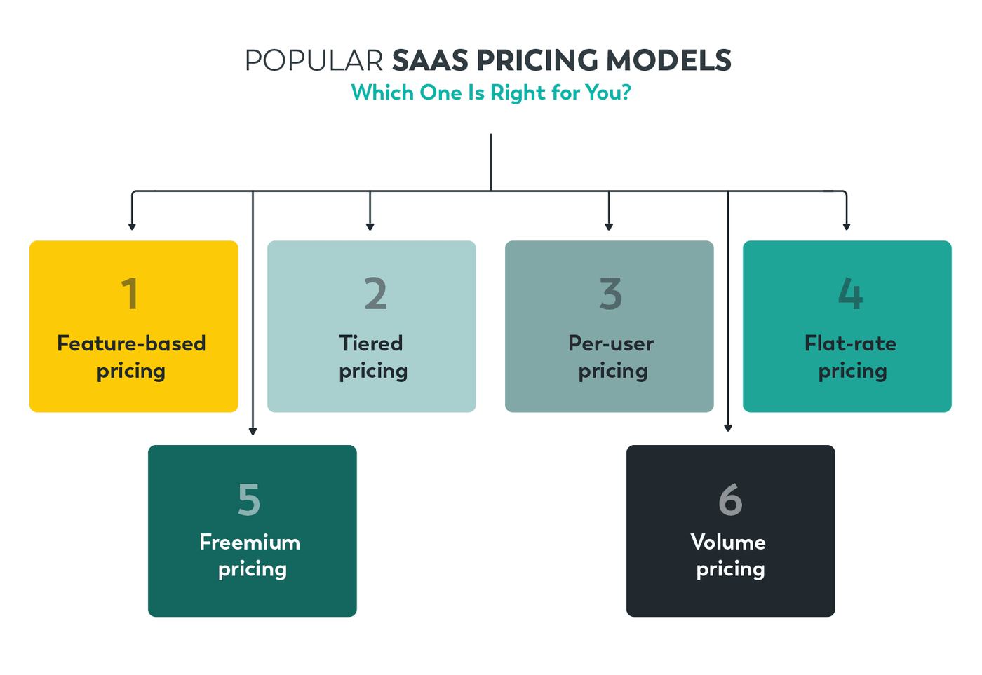 Popular SaaS pricing models